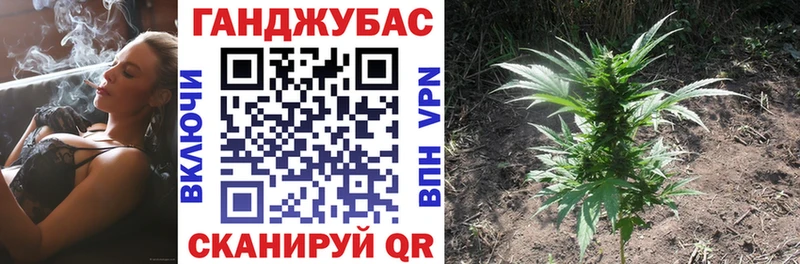 закладка  Бежецк  Каннабис план 